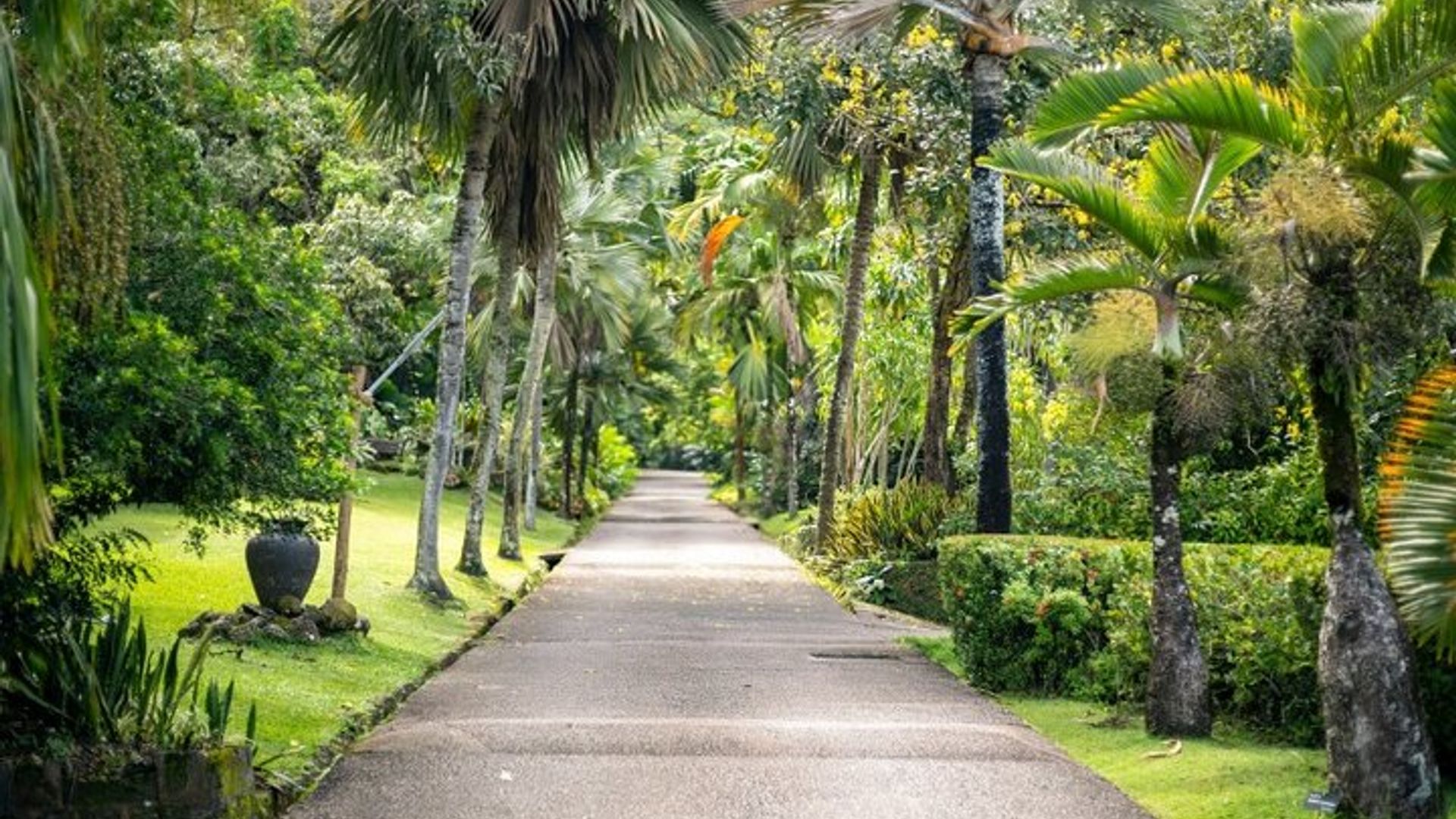 Private Mahe Island Half-Day Tour with Pick up