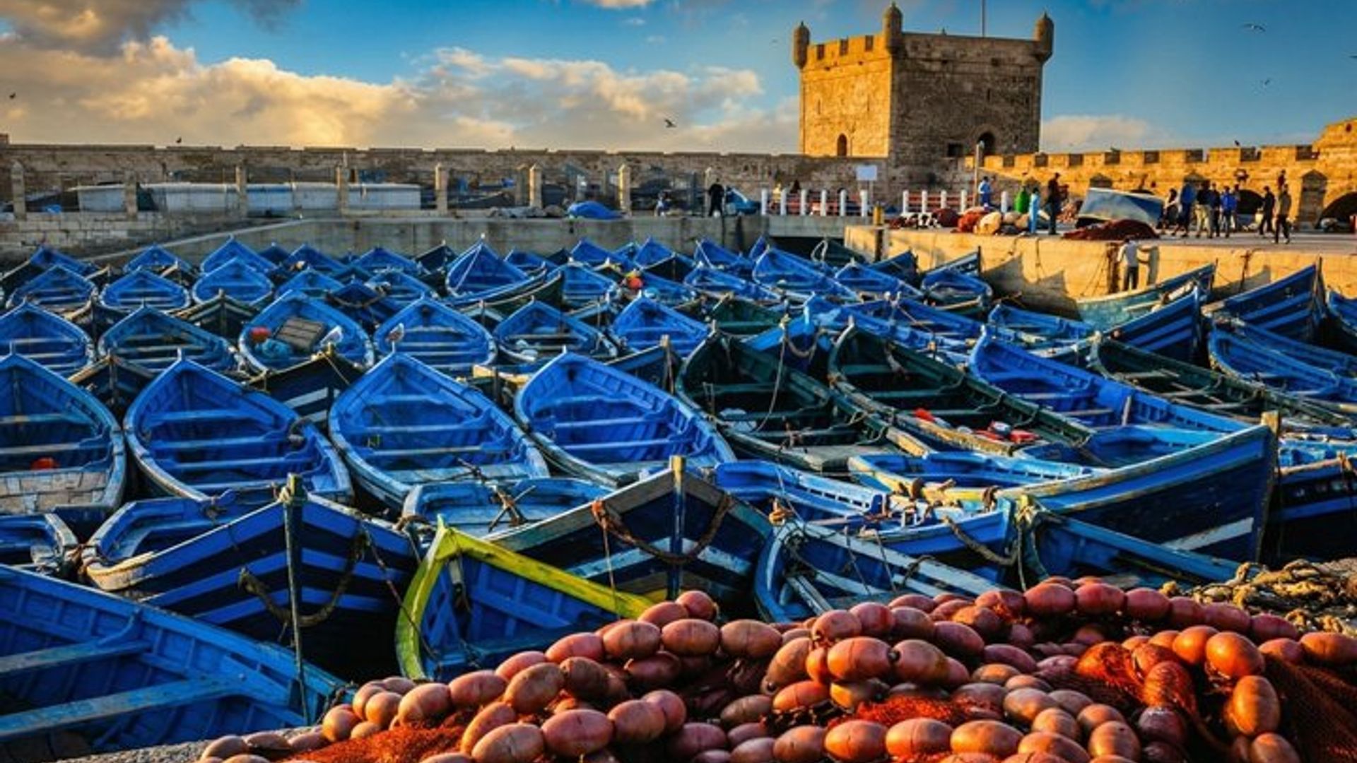 Excursion d'une journée à Essaouira et Sekkala avec déjeuner en option au départ de Marrakech