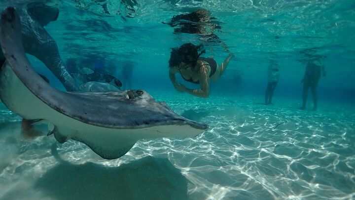 Stingray City Sandbar, Snorkel, Star fish Beach (Family operated)