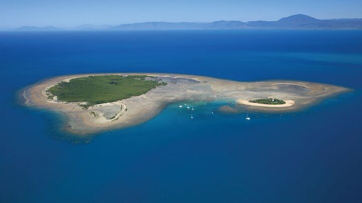Low Isles Snorkeling and Sailing Cruise from Port Douglas