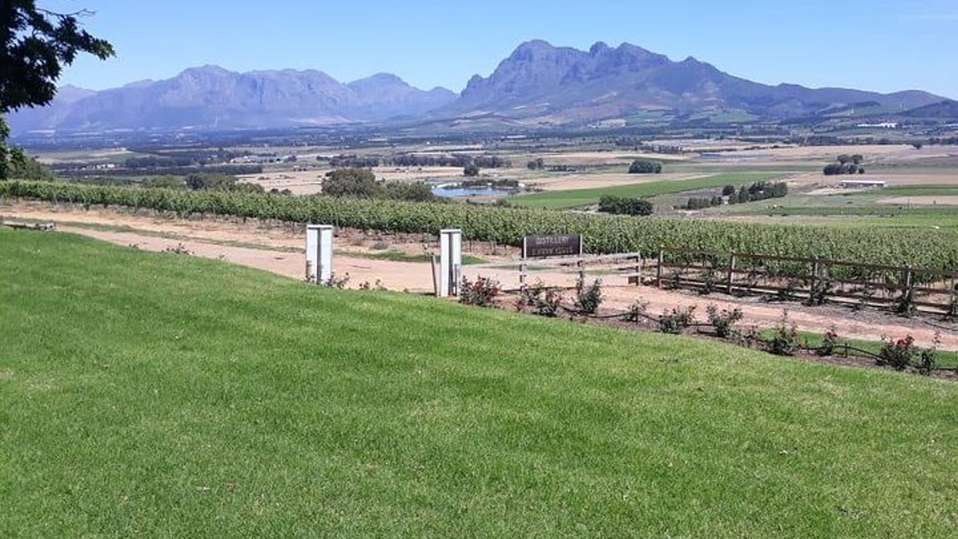 Stellenbosch, Franschhoek, and Paarl Wine Tasting Tour