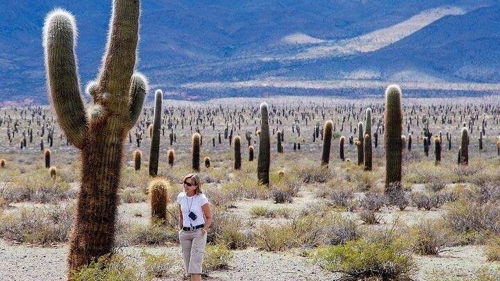 Cachi Day Trip From Salta