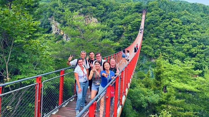 DMZ Full-Day Group Tour From Seoul, Suspension Bridge Option