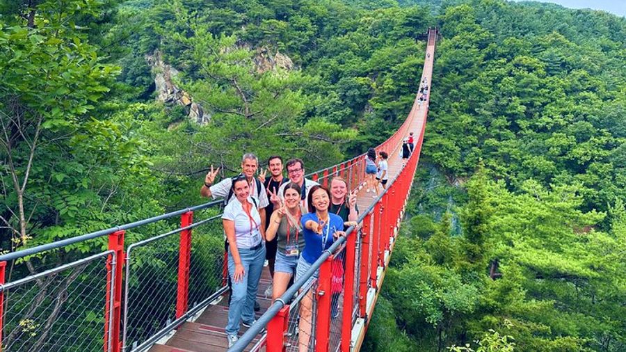 DMZ Full-Day Group Tour From Seoul, Suspension Bridge Option