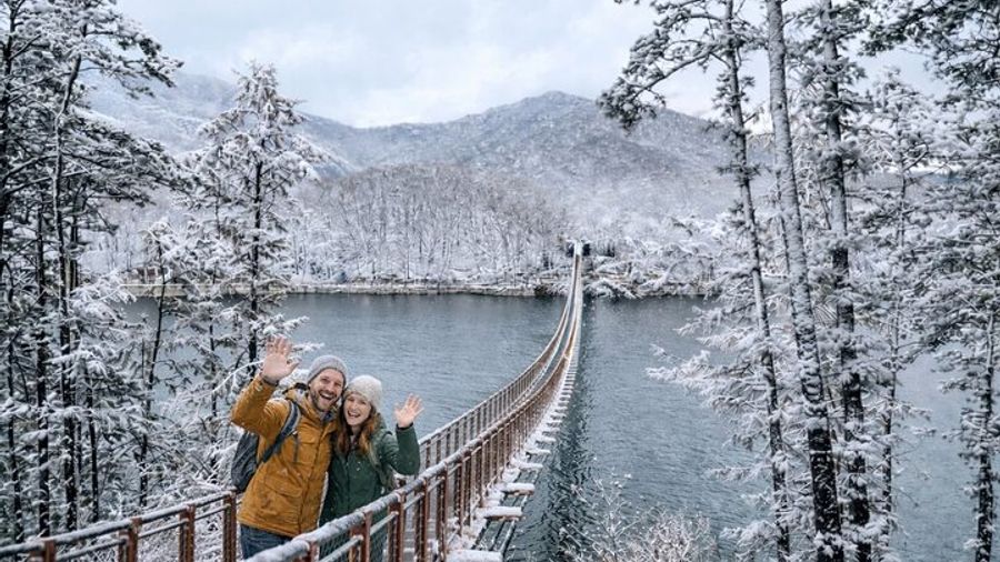 Seoul: DMZ Group Day Tour With Defector, Plus Bridge Option