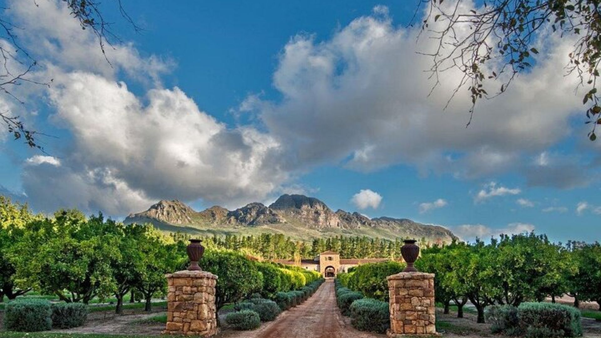 Tour en tranvía del vino de Franschhoek con paradas libres