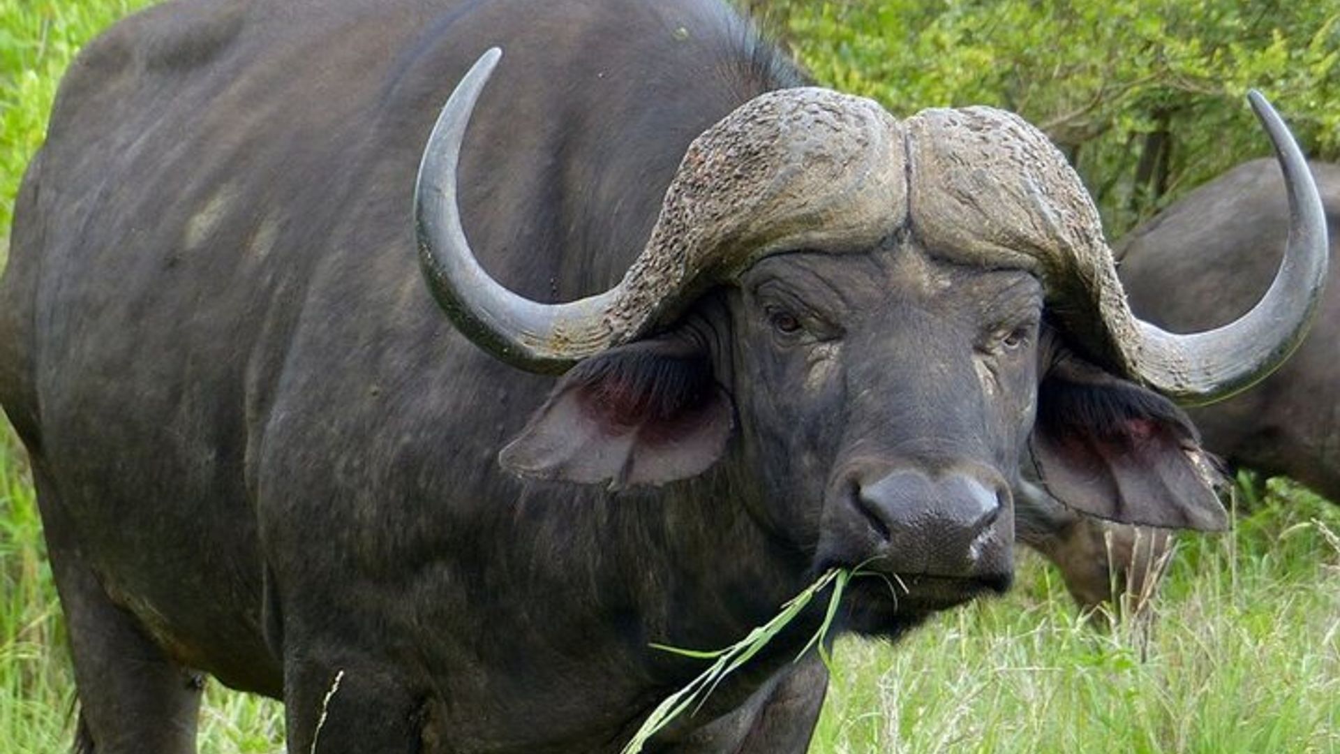 15 Tage Südafrika Abenteuer Kapstadt nach Johannesburg