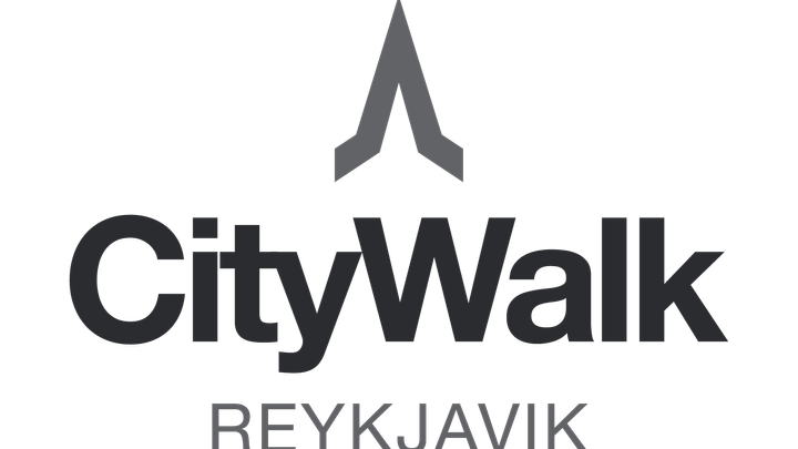 Reykjavik Walking Tour small group - CityWalk