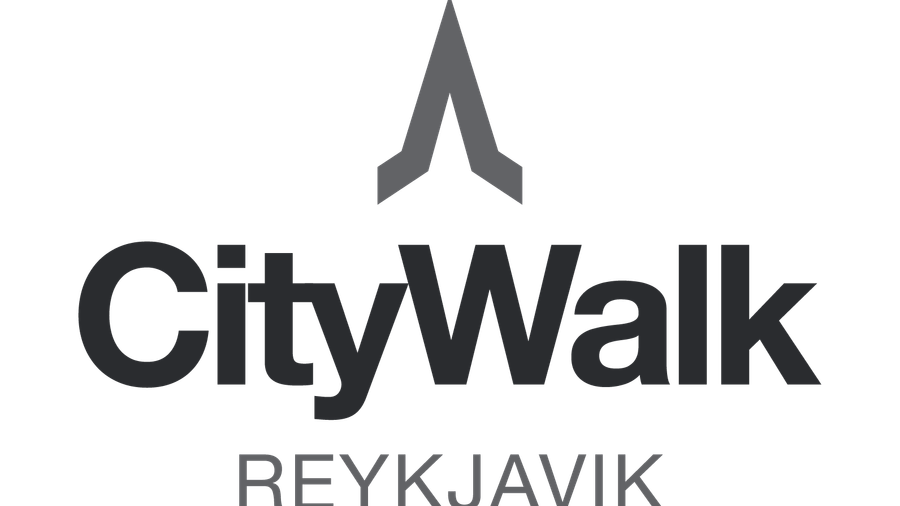 Reykjavik Walking Tour small group - CityWalk