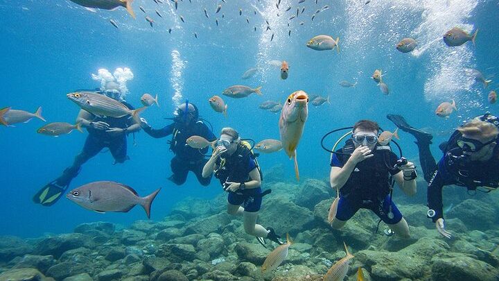 Tenerife Discover Scuba Diving Tour