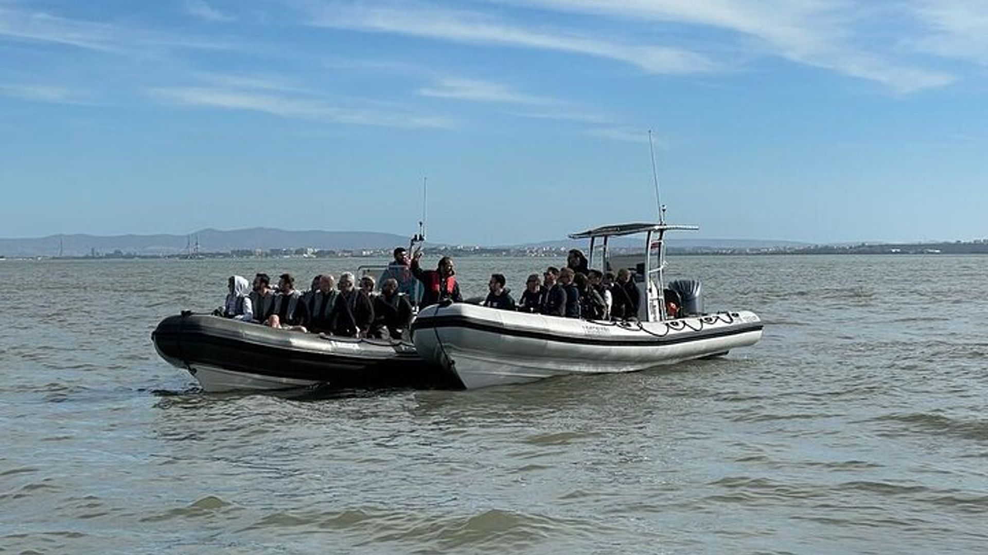 Crucero de avistamiento de delfines para grupos pequeños en Lisboa