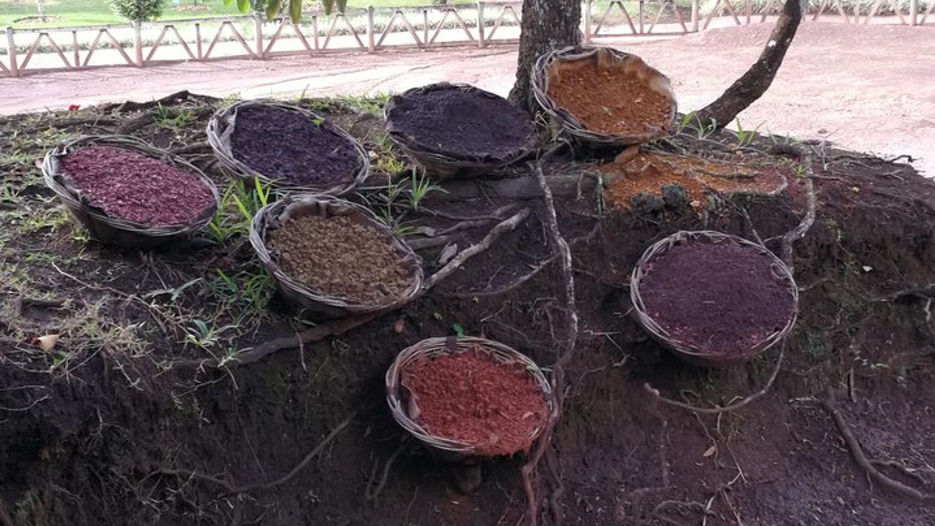 Recorrido turístico privado por Mauricio