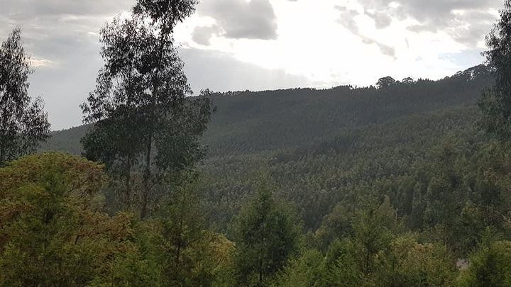 Addis Ababa Private City Tour with Hotel Pickup