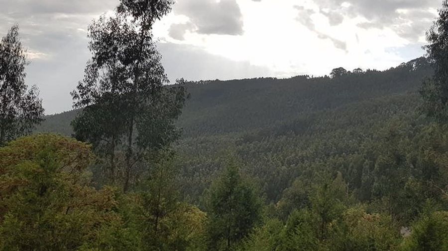Addis Ababa Private City Tour with Hotel Pickup