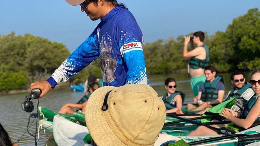 Isla Holbox Kayak Mangroves Sunrise Experience