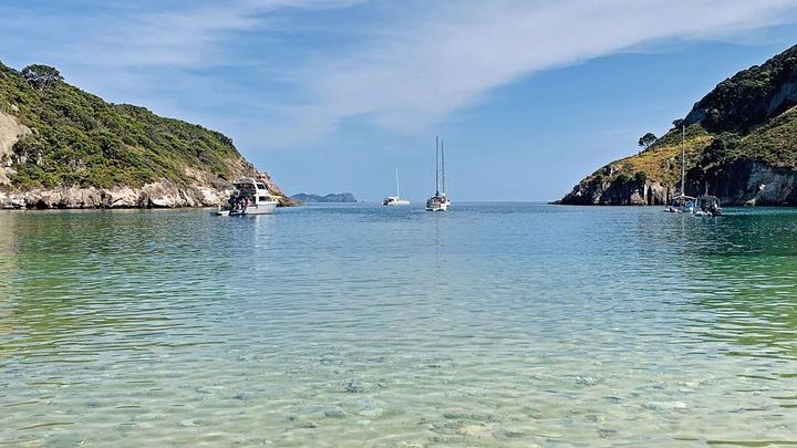 Exclusive Sailing Charter from Waiheke Island