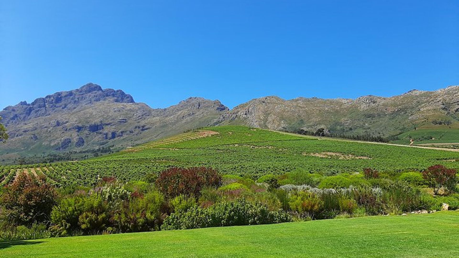 Cape Winelands Private Guide Tour From Cape Town