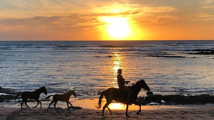 Private tours and transfer Costa Rica