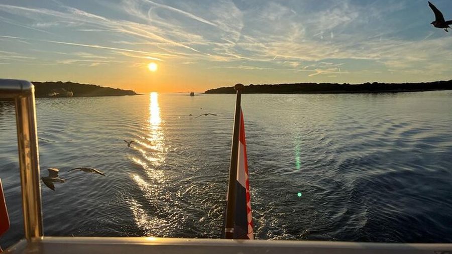 Pula: New Year Special Dolphin Sunset Boat Tour