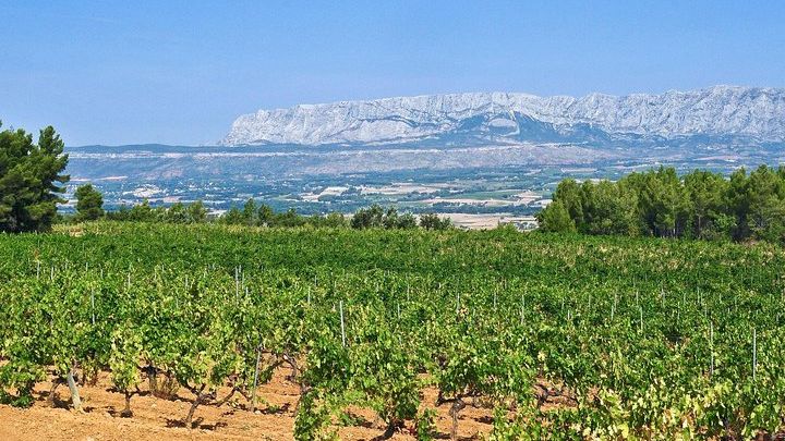 Aix-en-Provence Half-Day Wine Tour Including Tasting, Transfer