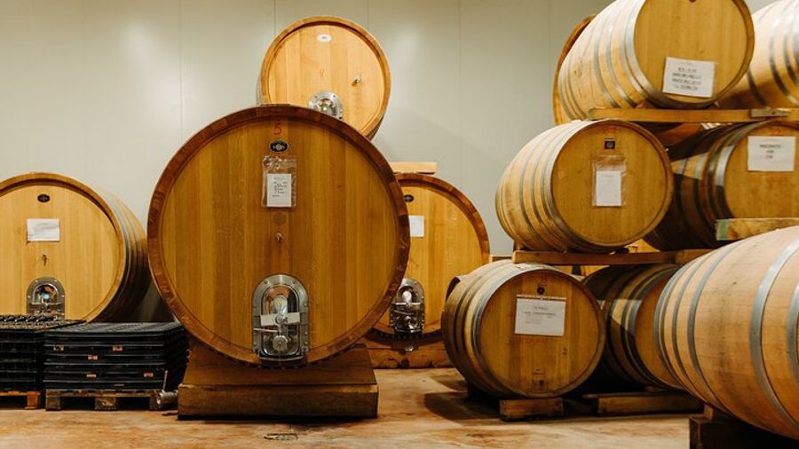 San Gimignano, Chianti and Montalcino Day Trip From Siena