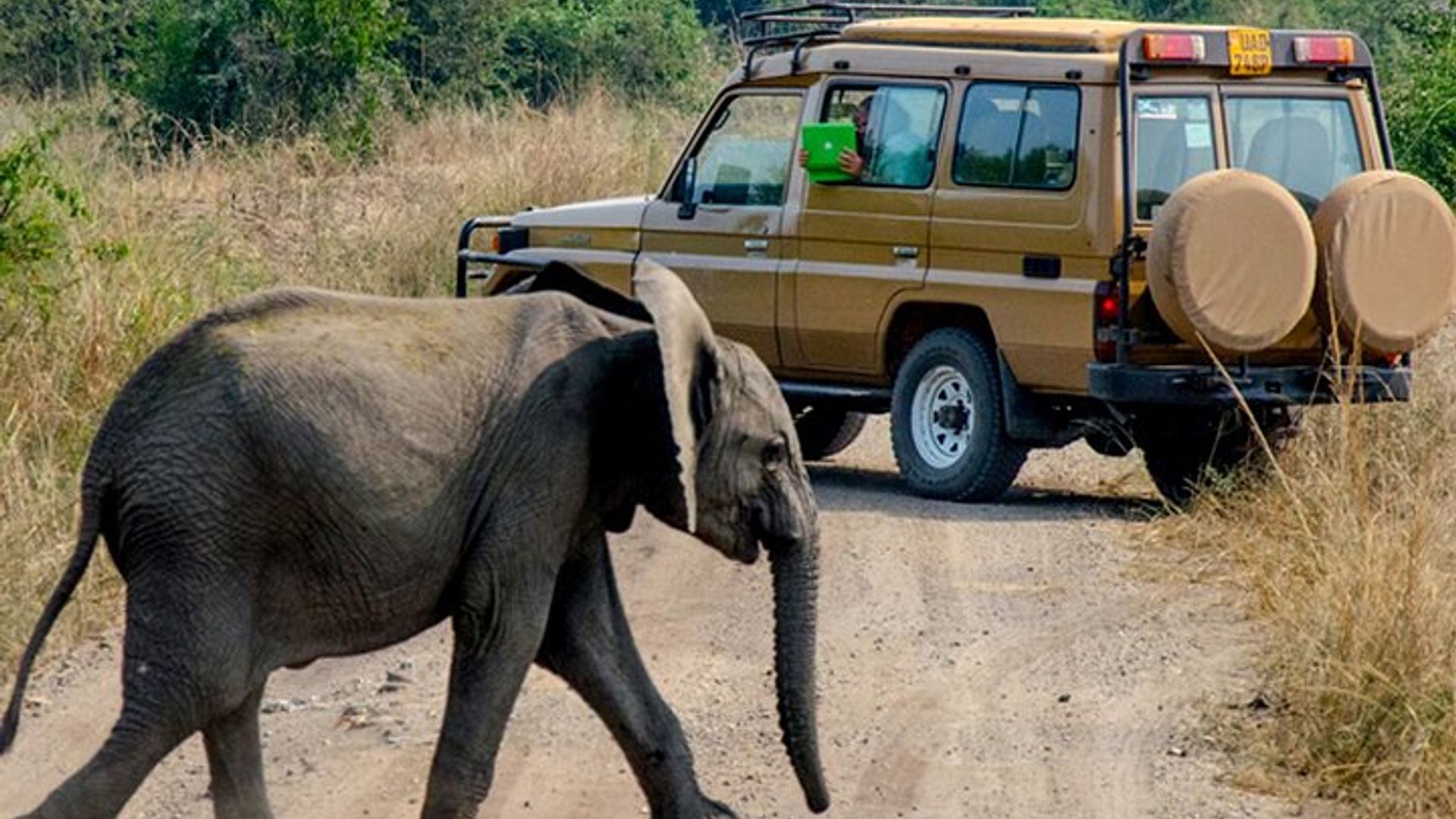 Iminsi 2 Safari Yigenga ya Parike yigihugu ya Murchison
