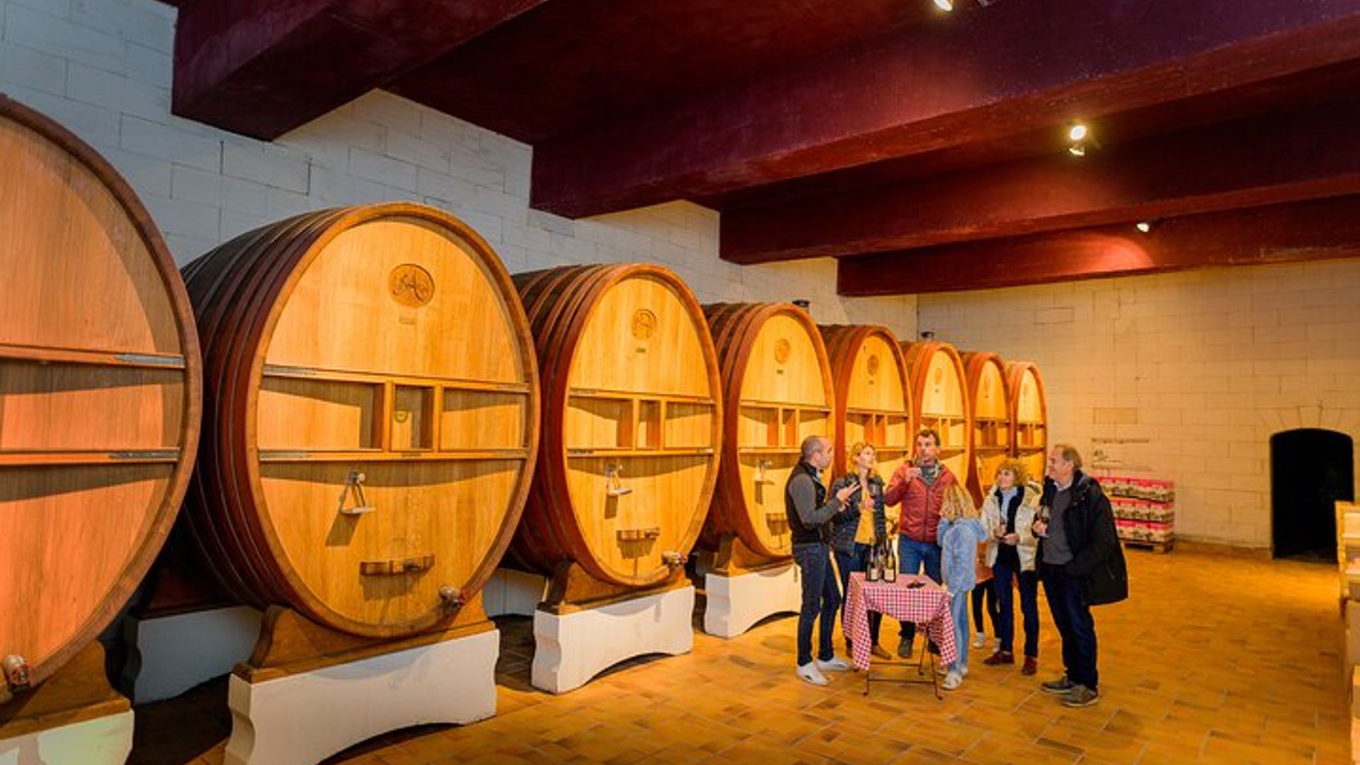 Touraine Wine Tour from Tours or Amboise