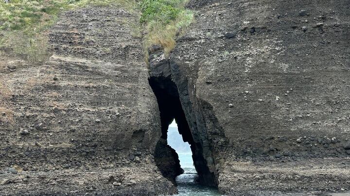 Central Auckland and Piha Full-Day Private Tour With Transfers