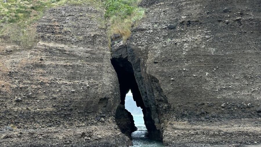 Central Auckland and Piha Full-Day Private Tour With Transfers