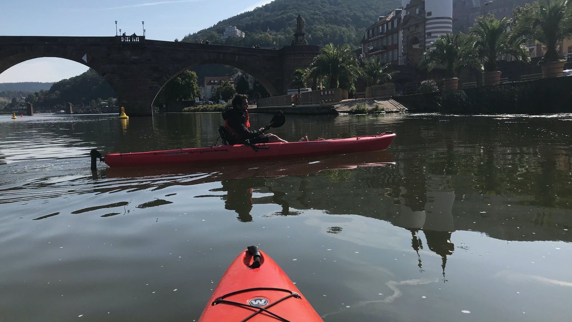 Guided kayak tour on the Neckar in Heidelberg