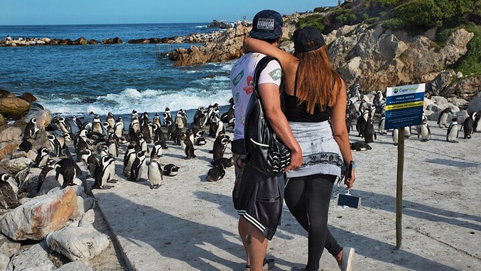 Cape Town to Hermanus Whale Watching Boat Trip with Transfers