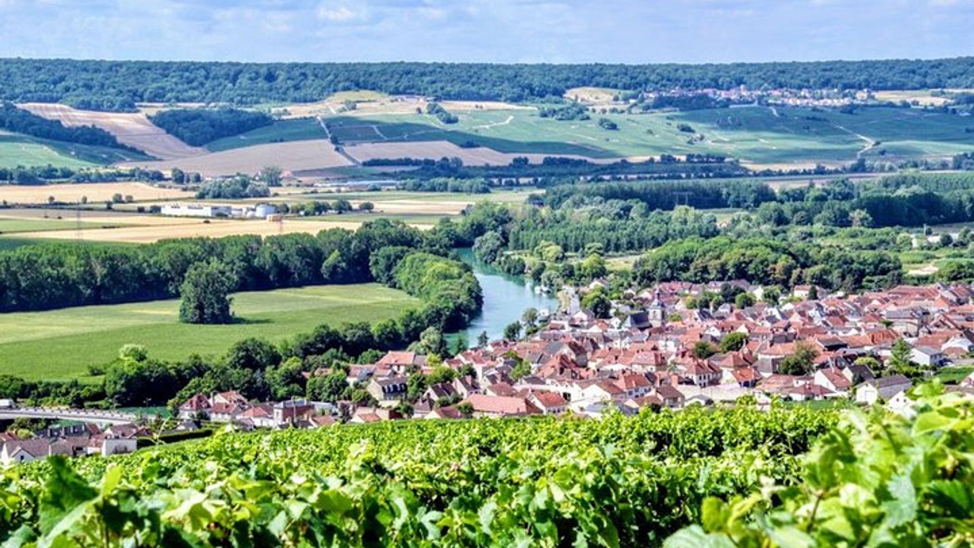 Excursión de un día en champán desde París con 8 degustaciones y almuerzo