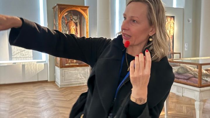 Vienna Highlights Small-Group City Walking Tour