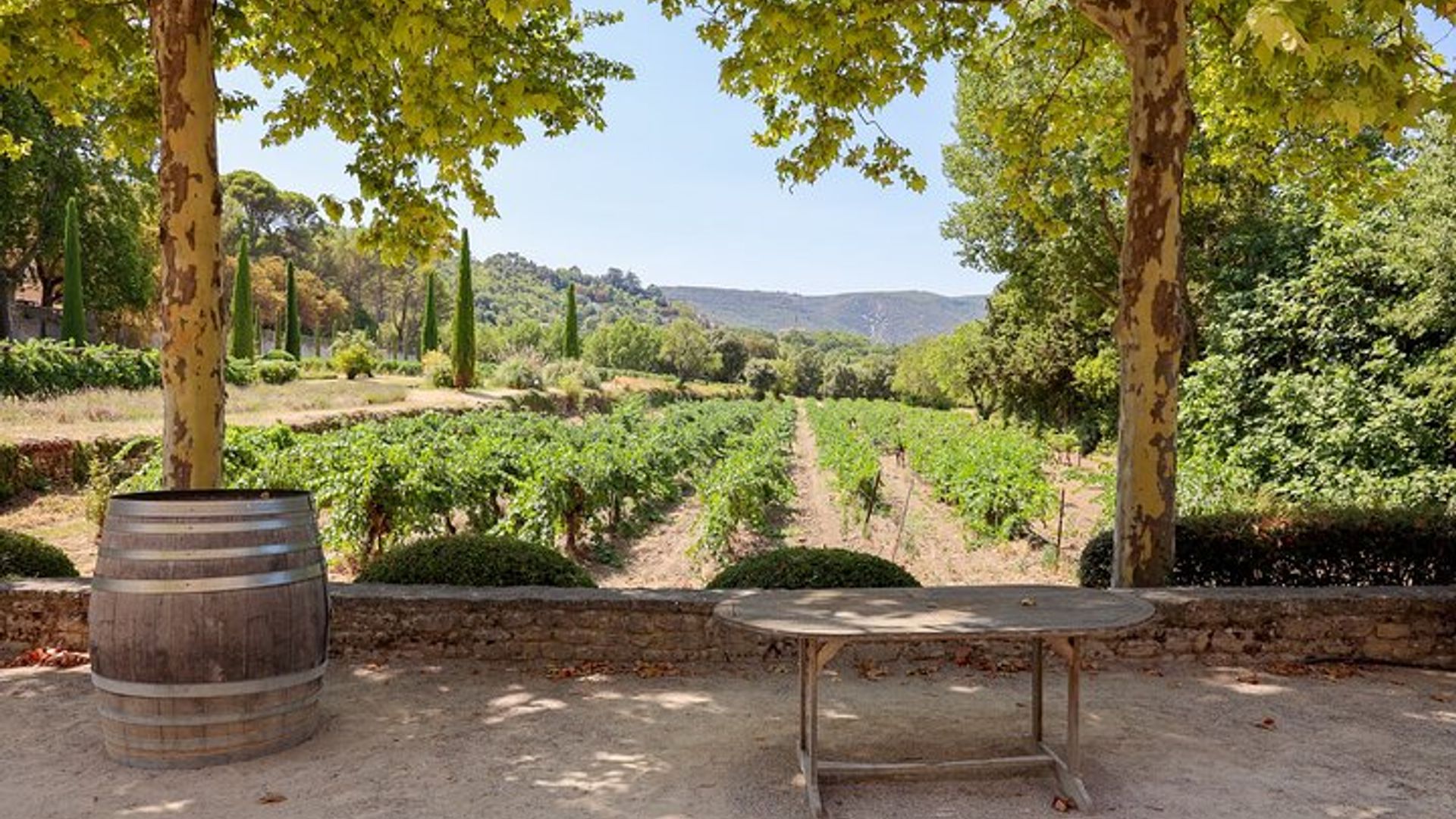Los vinos del Luberon, el Château de Lourmarin y el aceite de oliva Bastide du Laval