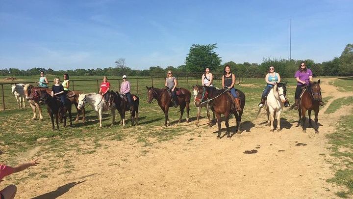 Memphis 1 hour Horseback Trail Ride
