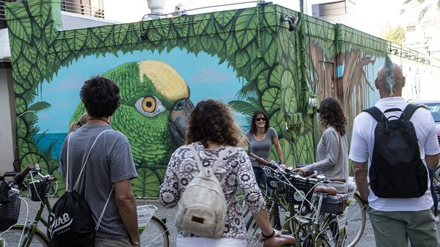 St. Petersburg Art Biking Tour