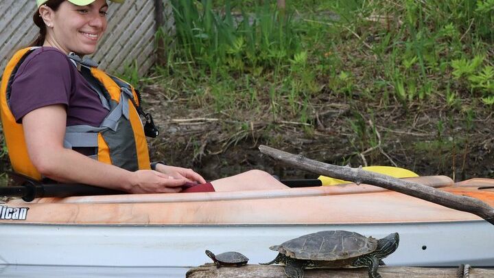 Ottawa Ecological Reserve Kayak Tour with TURTLE Sightings