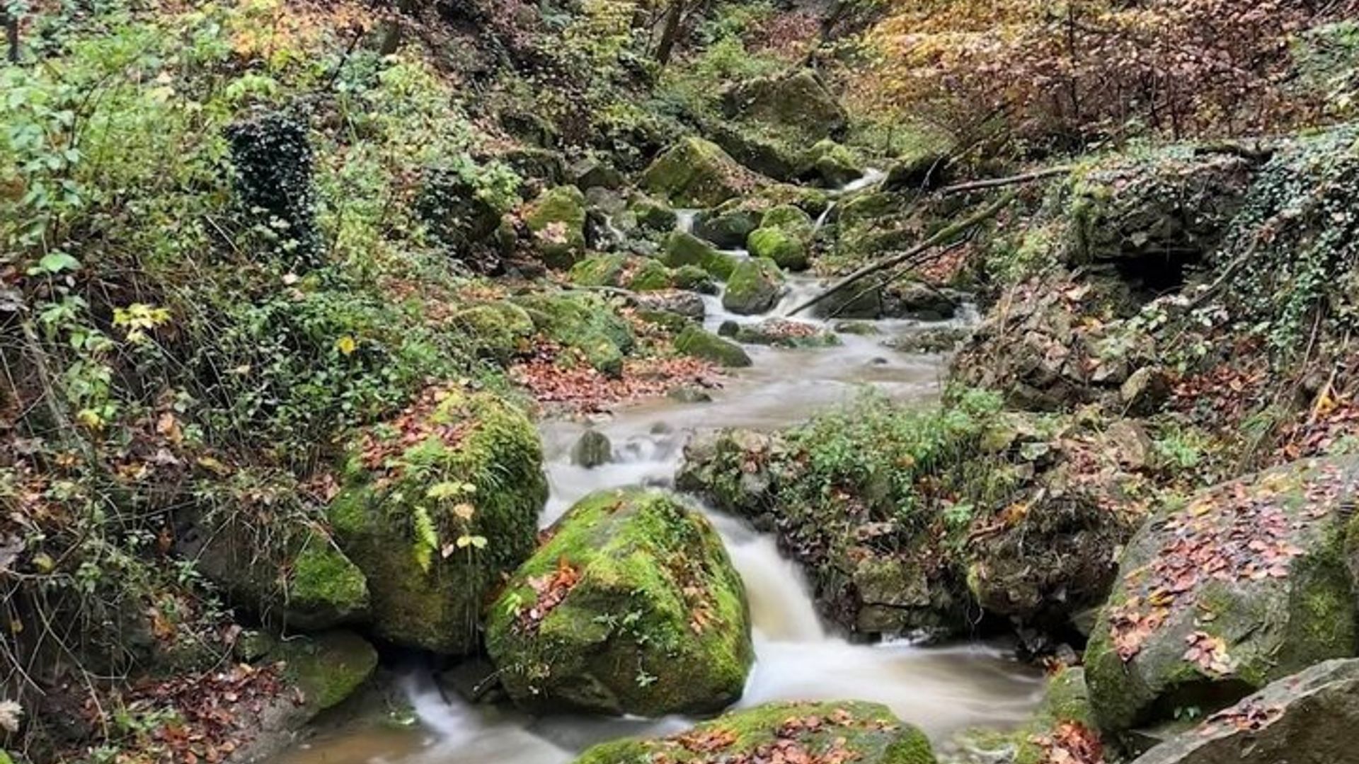 Balade au Mullerthal : Berdorf Rocks, Clifftop Wine & the Wolf's Gorge