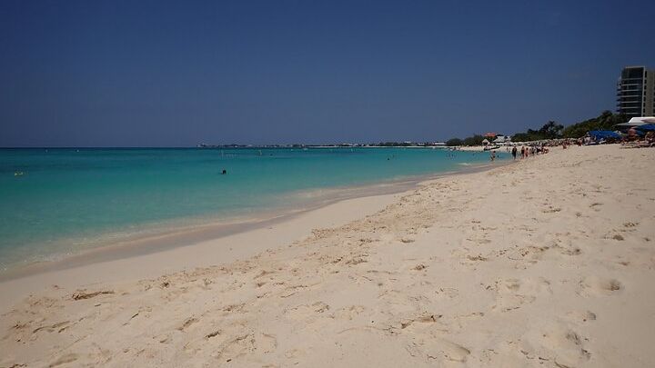 4-Stop Stingray, Snorkel, Star Fish & 7 Mile Beach (Family Owned)