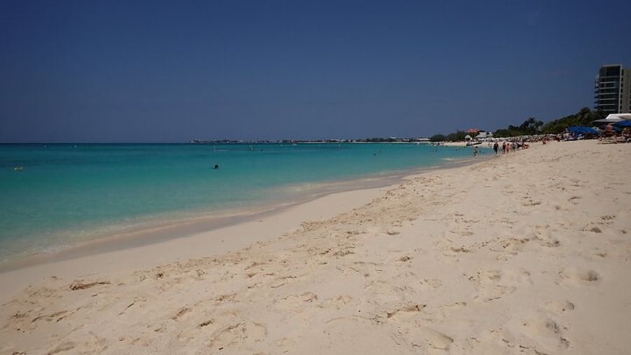 4-Stop Stingray, Snorkel, Star Fish & 7 Mile Beach (Family Owned)