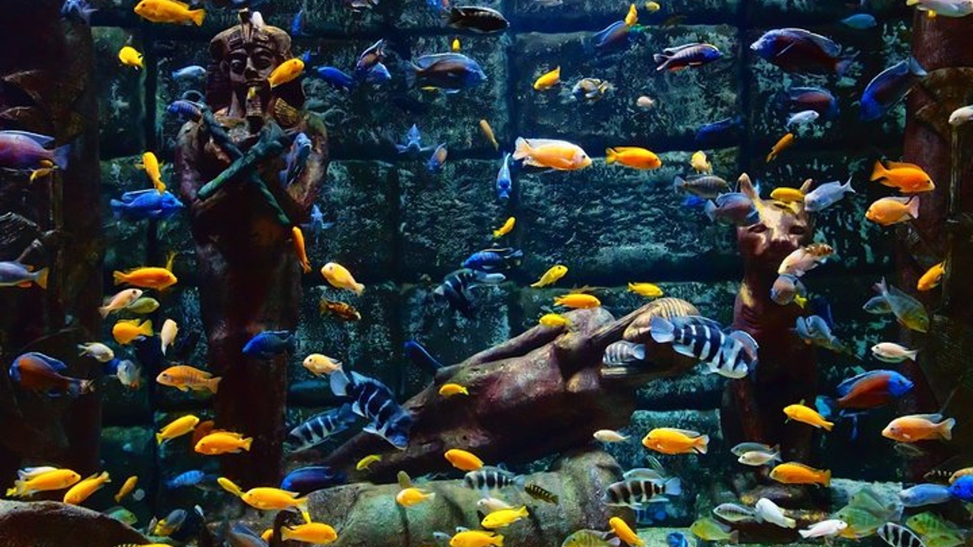 Belek: Antalya Aquarium Ticket With Hotel Transfer