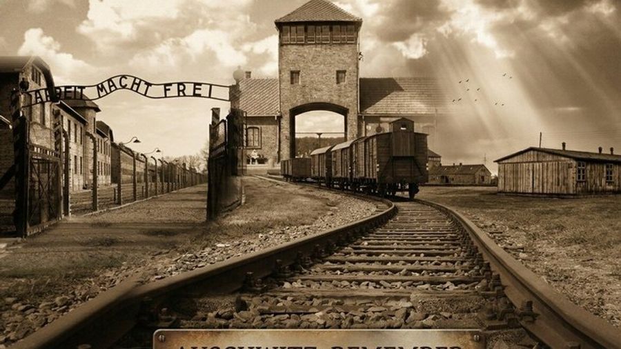 Krakow to Auschwitz-Birkenau Memorial, Museum plus Admission