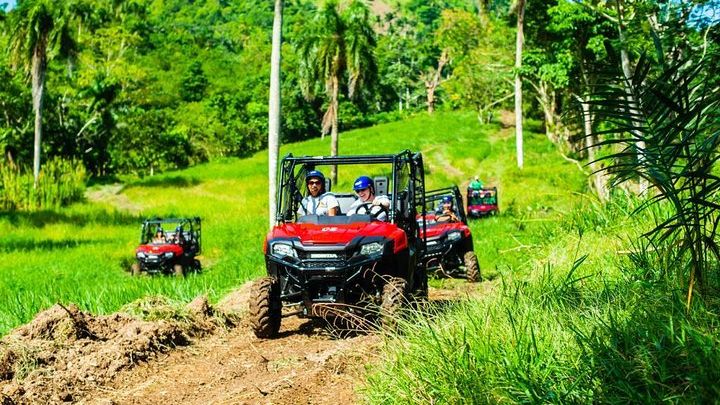 Punta Cana Zipline and Buggy Experience with Monkeyland