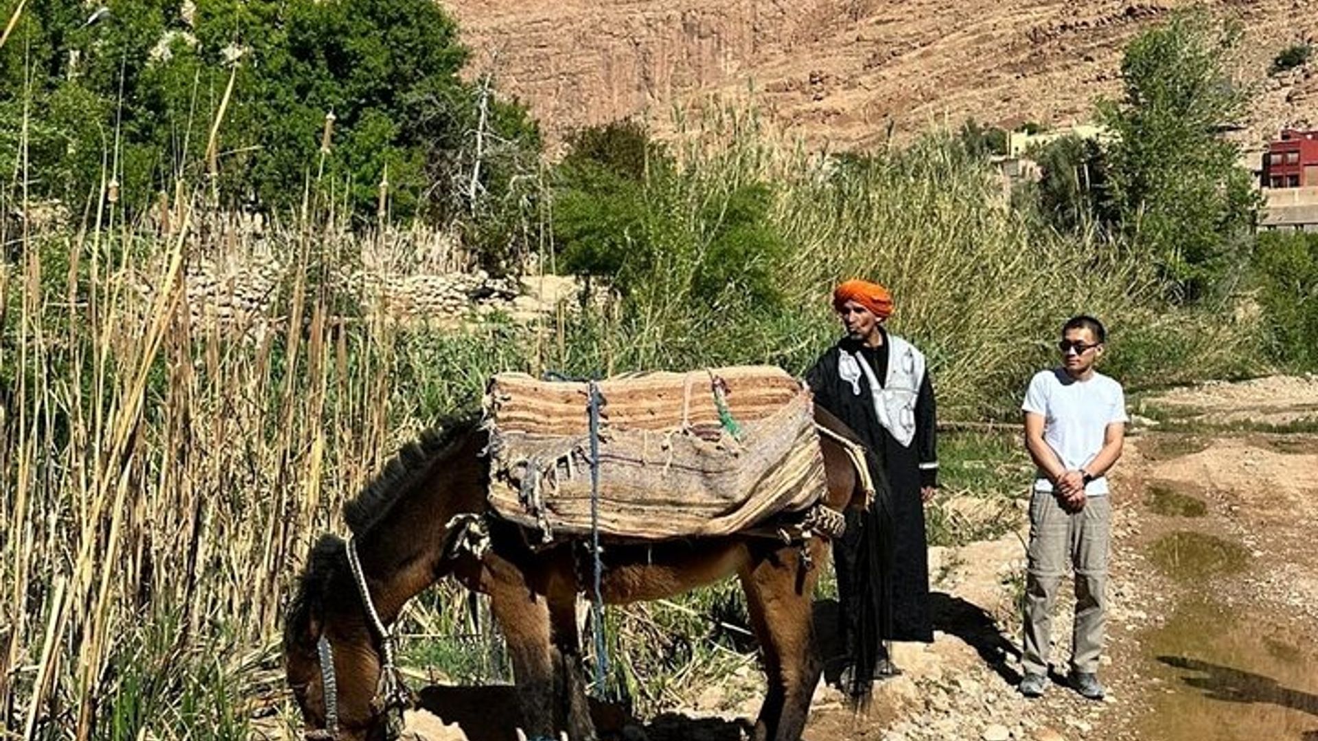 Tour de 10 días por el desierto desde Casablanca a través de las ciudades imperiales