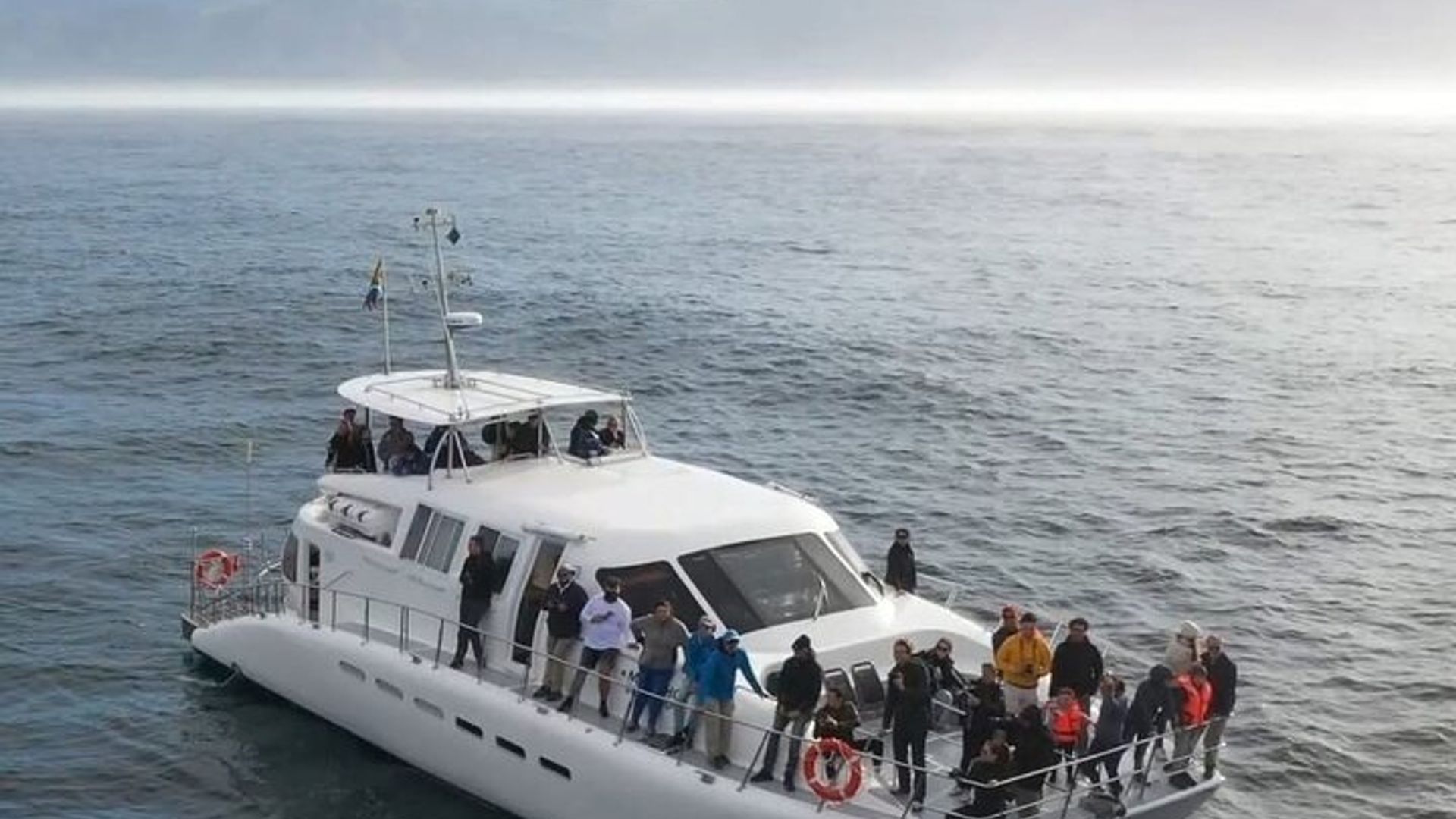 Shark Cage Diving Adventure CAPE TOWN (déjeuner et transport inclus)
