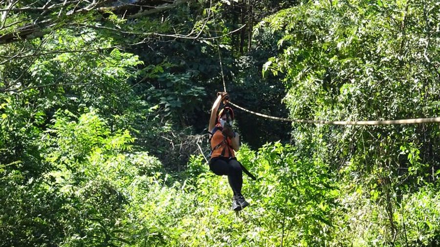 Tamarindo Monkey Jungle Family Zipline Canopy Tour