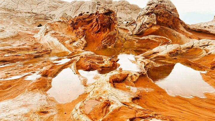 White Pocket Off-Road & Guided Hike Adventure (Small Group)
