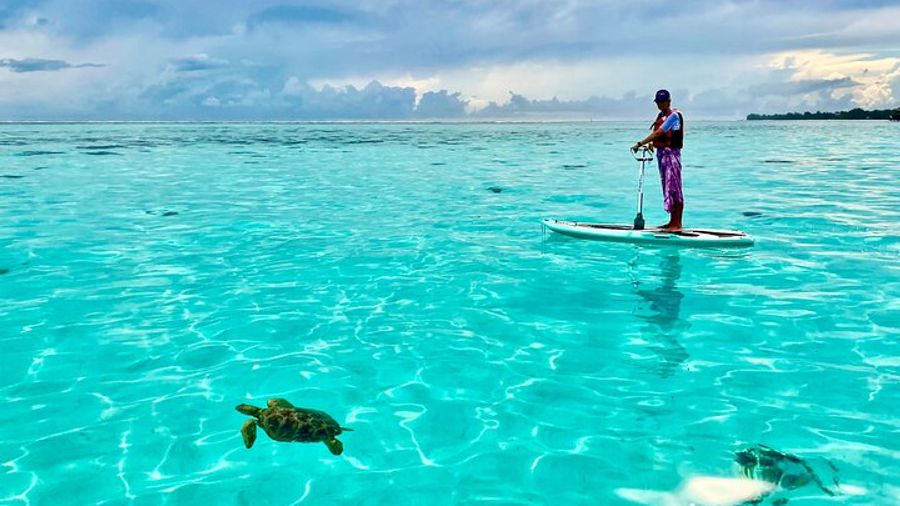 Private Excursion with E-Board in Moorea with snorkeling
