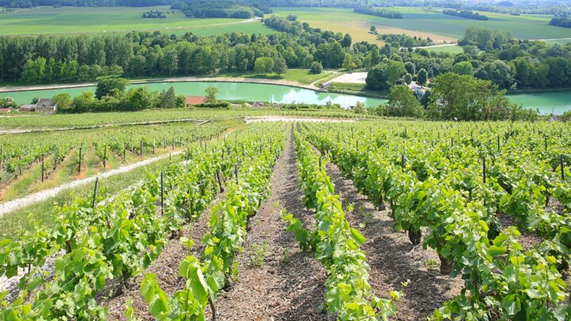 Épernay: visita a pie audioguiada de 1 hora con 15 comentarios de audio