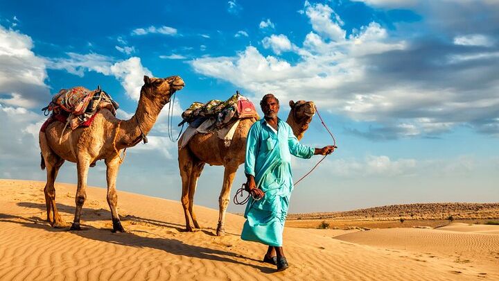 Marsa Alam Desert Safari: Camel Ride, Dinner, Stargazing